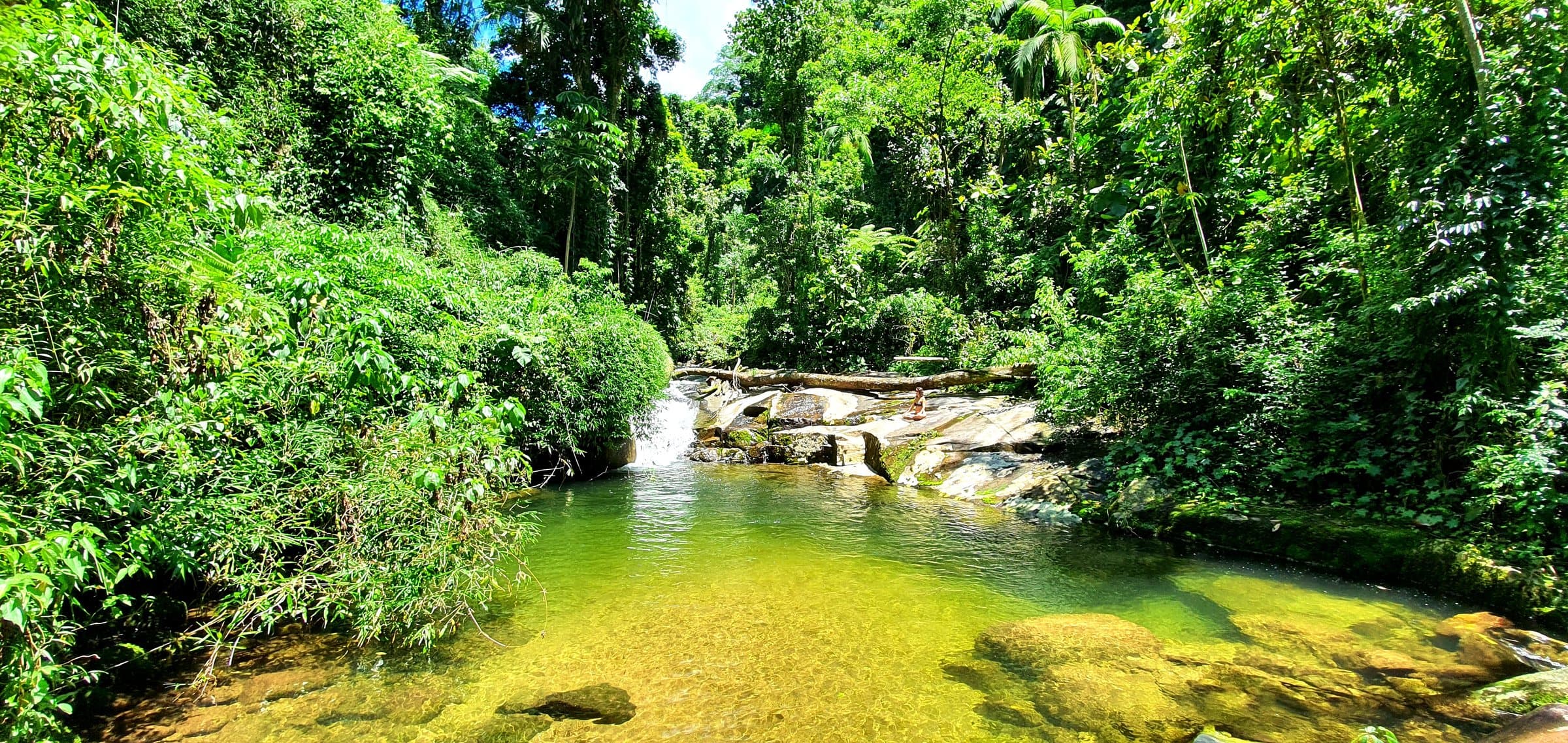 Cachoeira na Mata Atlântica