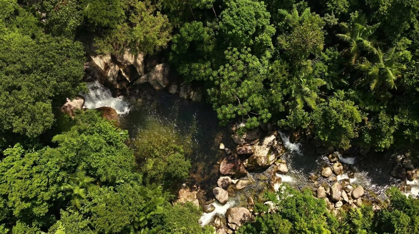 Vista aérea da cachoeira e da mata